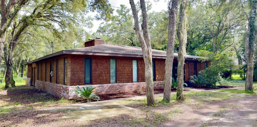 Villa ou maison à Webster, Floride 3 chambres, 193.33 m2 № 2294660