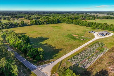Land in Williston, Florida № 2117008 - photo 14