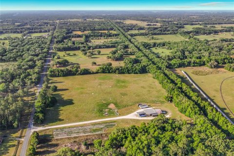 Land in Williston, Florida № 2117008 - photo 4