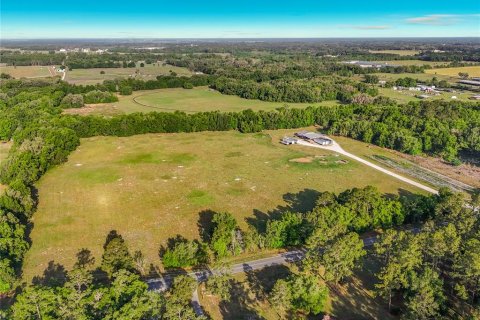 Land in Williston, Florida № 2117008 - photo 6