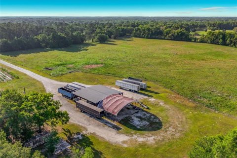 Land in Williston, Florida № 2117008 - photo 17