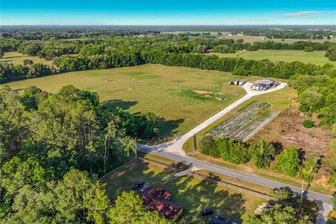 Land in Williston, Florida № 2117008 - photo 12