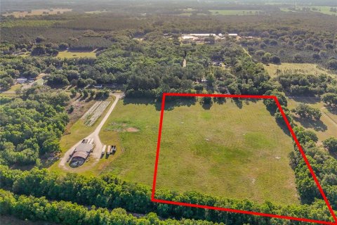 Land in Williston, Florida № 2117008 - photo 3