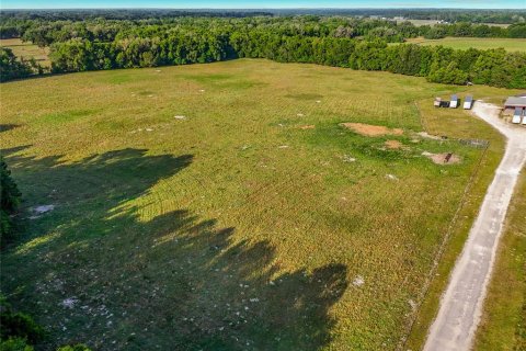 Land in Williston, Florida № 2117008 - photo 16