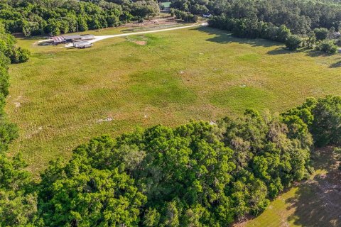 Land in Williston, Florida № 2117008 - photo 20