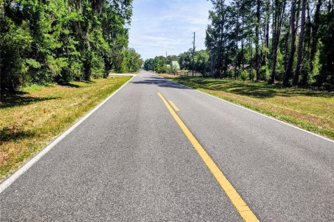 Land in Williston, Florida № 2117008 - photo 27
