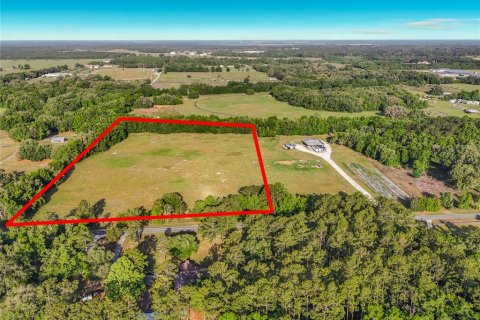 Land in Williston, Florida № 2117008