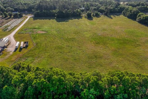 Land in Williston, Florida № 2117008 - photo 18