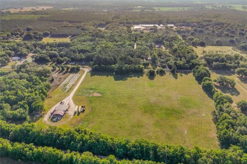Land in Williston, Florida № 2117008 - photo 26