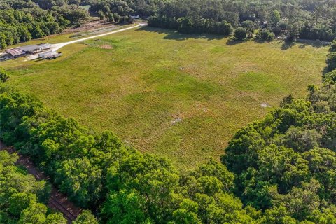 Land in Williston, Florida № 2117008 - photo 19