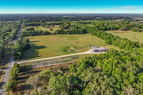 Land in Williston, Florida № 2117008 - photo 13