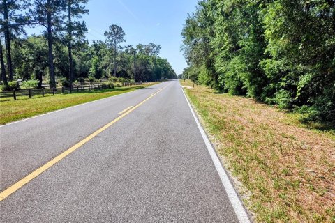 Land in Williston, Florida № 2117008 - photo 28