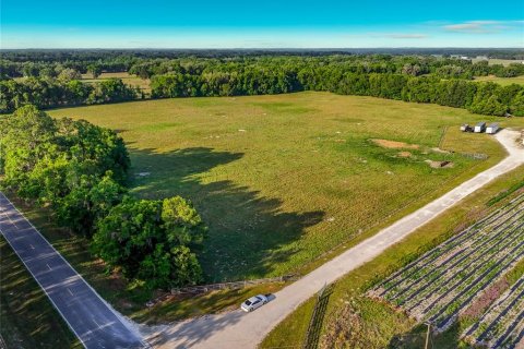 Land in Williston, Florida № 2117008 - photo 15