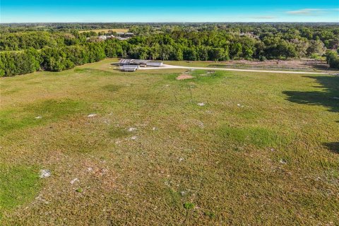 Land in Williston, Florida № 2117008 - photo 11