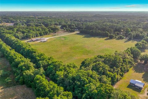 Land in Williston, Florida № 2117008 - photo 23