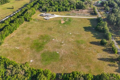 Land in Williston, Florida № 2117008 - photo 8