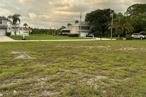 Land in Hernando Beach, Florida № 1747416 - photo 10