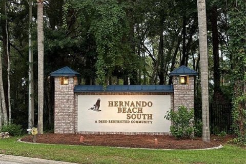 Land in Hernando Beach, Florida № 1747416 - photo 16