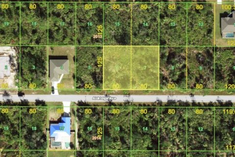 Land in Port Charlotte, Florida № 1584753 - photo 1