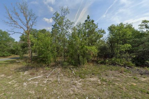 Terreno en Dunnellon, Florida № 2205746