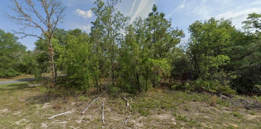 Land in Dunnellon, Florida № 2205746