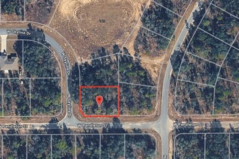 Land in Dunnellon, Florida № 2205746 - photo 2