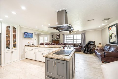 Villa ou maison à vendre à Sanford, Floride: 6 chambres, 465.07 m2 № 1909592 - photo 4