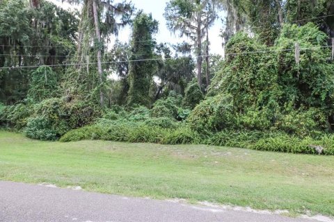 Terreno en venta en Earleton, Florida № 1918223 - foto 5