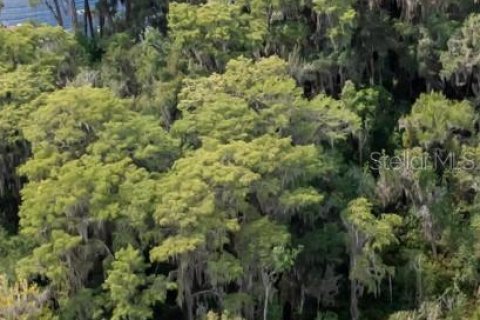 Terreno en venta en Earleton, Florida № 1918223 - foto 1