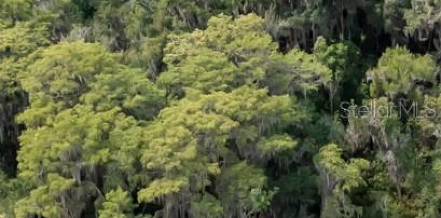 Terrain à Earleton, Floride № 1918223