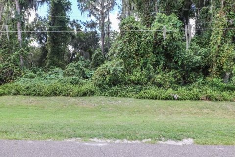 Terreno en venta en Earleton, Florida № 1918223 - foto 6