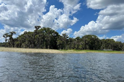 Terreno en venta en Earleton, Florida № 1918223 - foto 18
