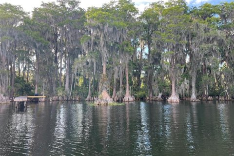 Terreno en venta en Earleton, Florida № 1918223 - foto 15