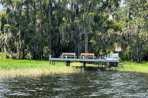 Terreno en venta en Earleton, Florida № 1918223 - foto 17