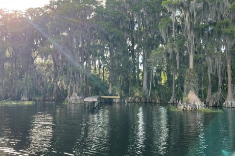 Terreno en venta en Earleton, Florida № 1918223 - foto 16