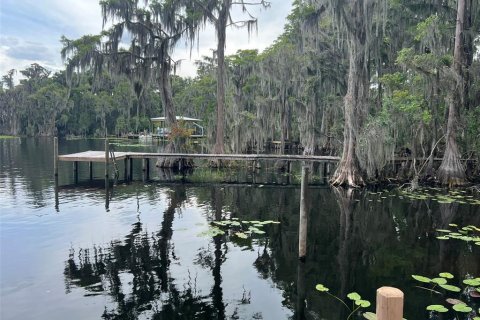 Terreno en venta en Earleton, Florida № 1918223 - foto 10