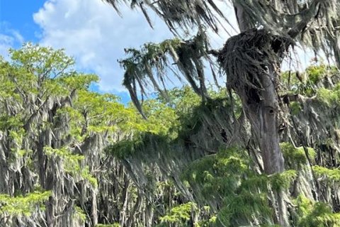 Terreno en venta en Earleton, Florida № 1918223 - foto 19