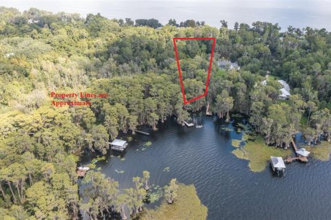 Terreno en venta en Earleton, Florida № 1918223 - foto 3