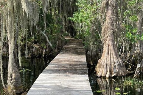Terreno en venta en Earleton, Florida № 1918223 - foto 11