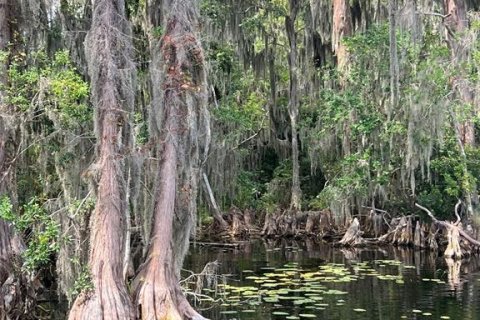 Terreno en venta en Earleton, Florida № 1918223 - foto 12