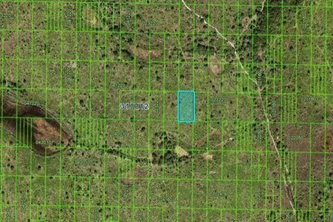 Land in Frostproof, Florida № 2158895 - photo 3