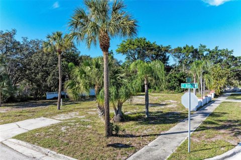 Terreno en venta en Bradenton, Florida № 957441 - foto 7