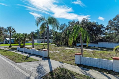 Terreno en venta en Bradenton, Florida № 957441 - foto 5