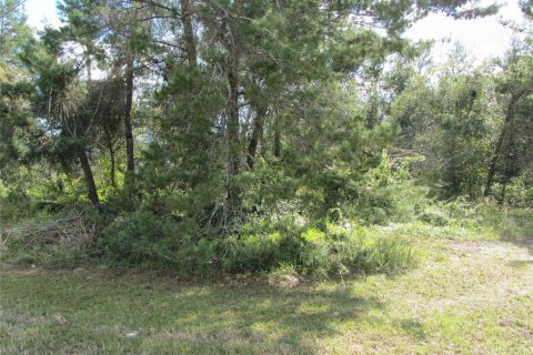 Propiedad comercial en venta en Deltona, Florida № 214625 - foto 7