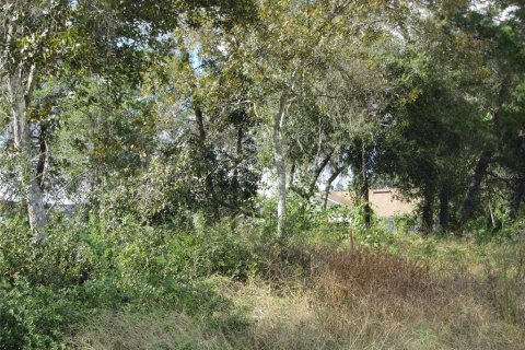 Propiedad comercial en venta en Deltona, Florida № 214625 - foto 2