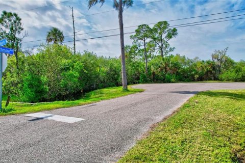 Land in Oldsmar, Florida № 1832072 - photo 14