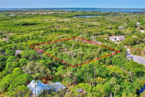Land in Oldsmar, Florida № 1832072 - photo 11