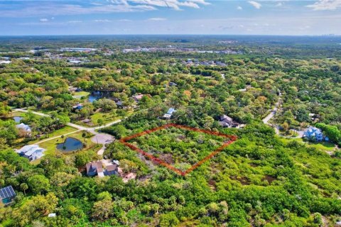 Land in Oldsmar, Florida № 1832072 - photo 8