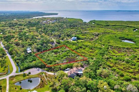 Land in Oldsmar, Florida № 1832072 - photo 15