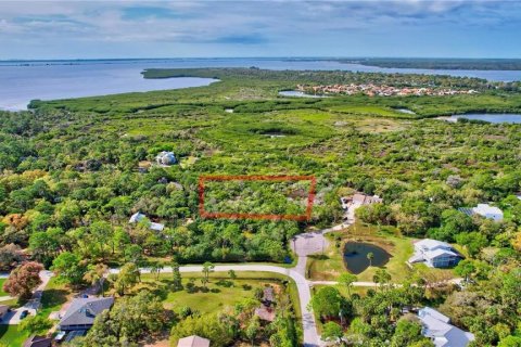 Land in Oldsmar, Florida № 1832072 - photo 4